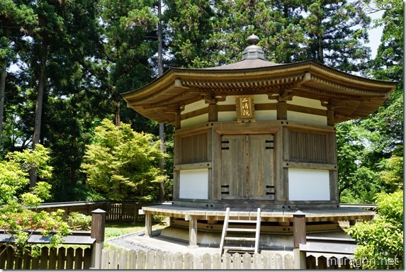 gon1605DSC01347 gon1605DSC01347
