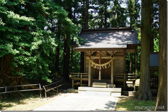 gon1605DSC01351 gon1605DSC01351