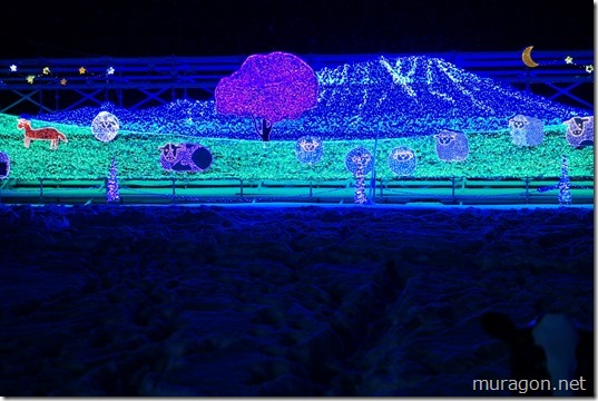 gon1512DSC06074 gon1512DSC06074