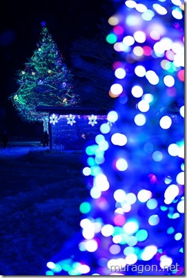 gon1512DSC06076 gon1512DSC06076
