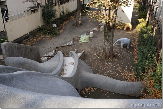 gon1512DSC05662 gon1512DSC05662