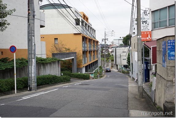 gon1610DSC05959 gon1610DSC05959