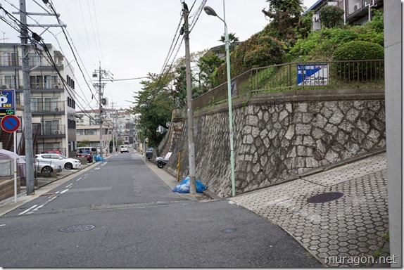 gon1610DSC05960 gon1610DSC05960