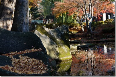 紅葉「盛岡城跡公園(岩手公園)」 紅葉「盛岡城跡公園(岩手公園)」