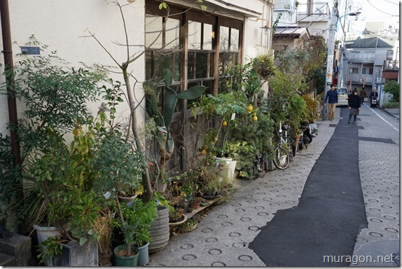 小路苑 花屋 小路苑 花屋