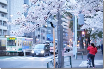 Eマウント50mm F1.8 OSS SEL50F18 作例 レビュー Eマウント50mm F1.8 OSS SEL50F18 作例 レビュー