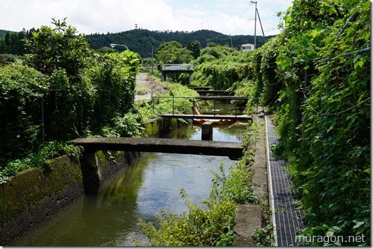 gon1508DSC00045 gon1508DSC00045