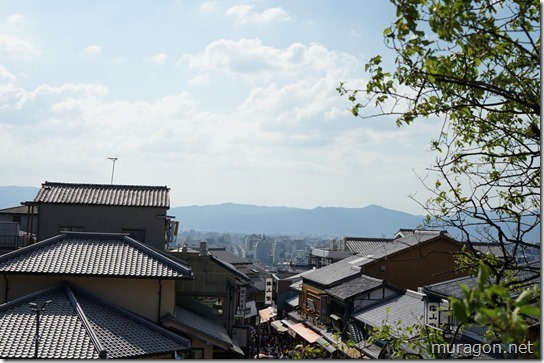 gon1810DSC09623 gon1810DSC09623