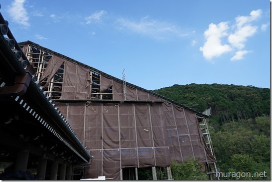 gon1810DSC09626 gon1810DSC09626