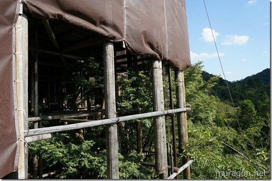 gon1810DSC09629 gon1810DSC09629