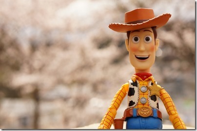 特撮リボルテック SERIES No.010 WOODY（ウッディ）海洋堂