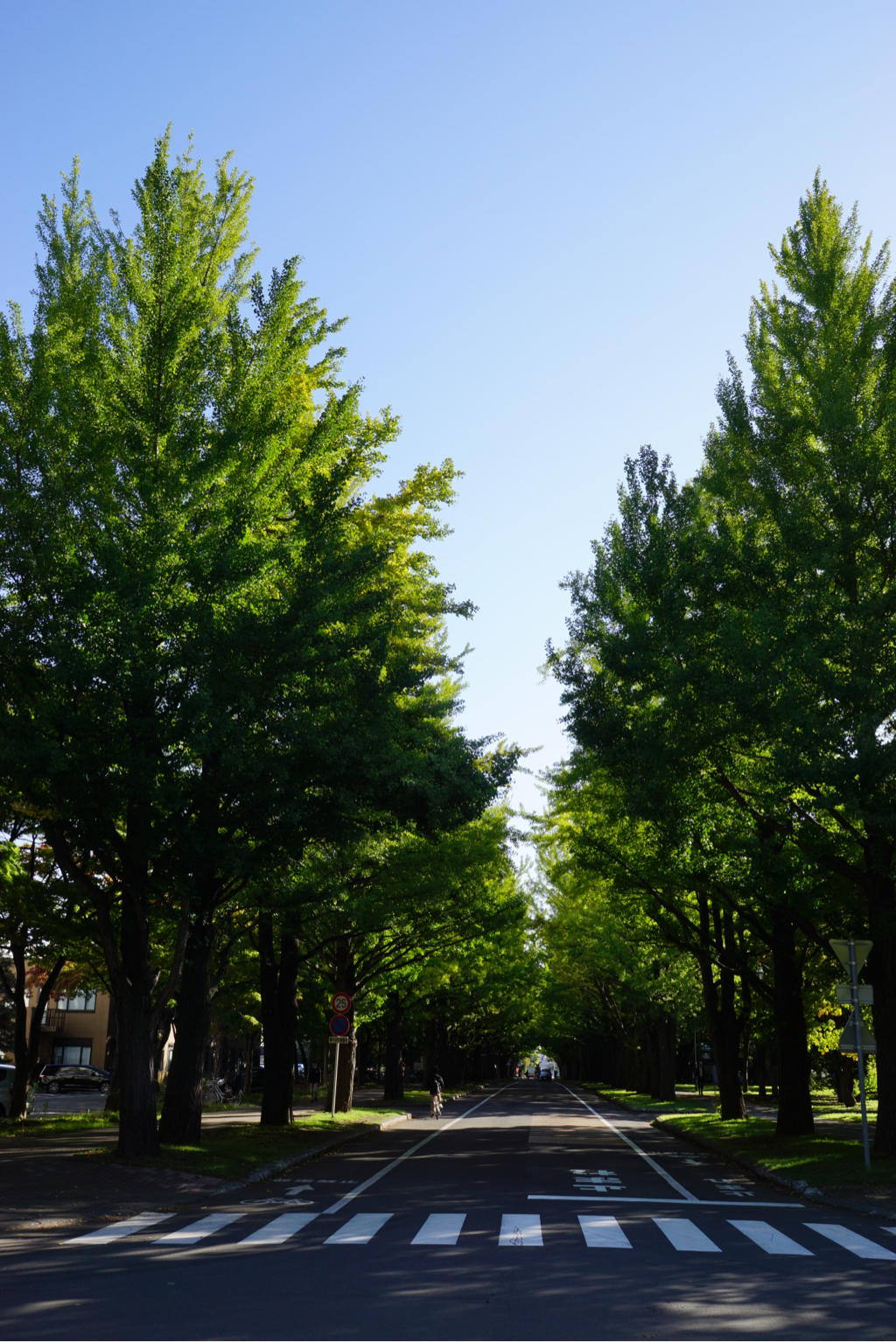 mt-20171006082951.jpg