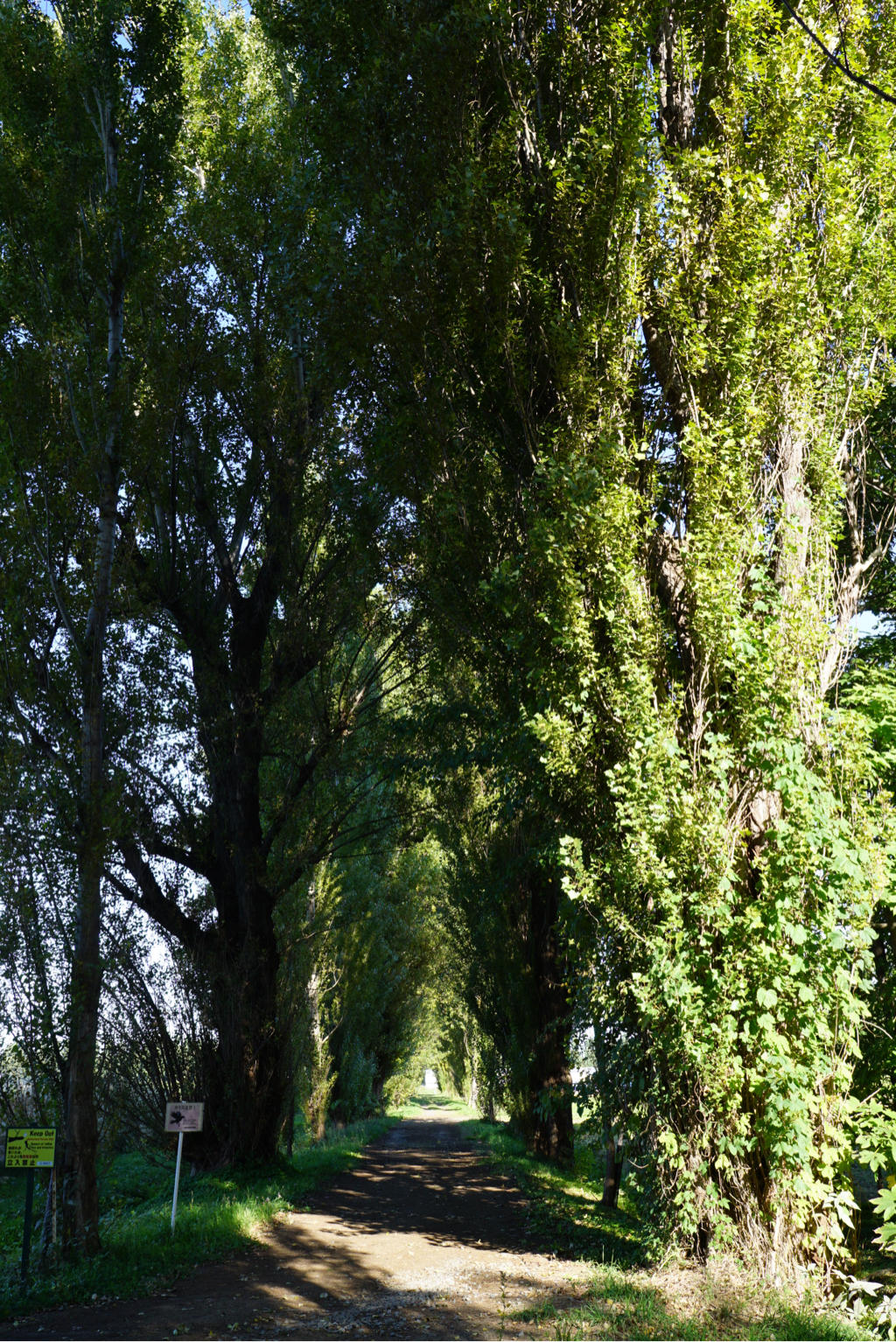 mt-20171006083932.jpg